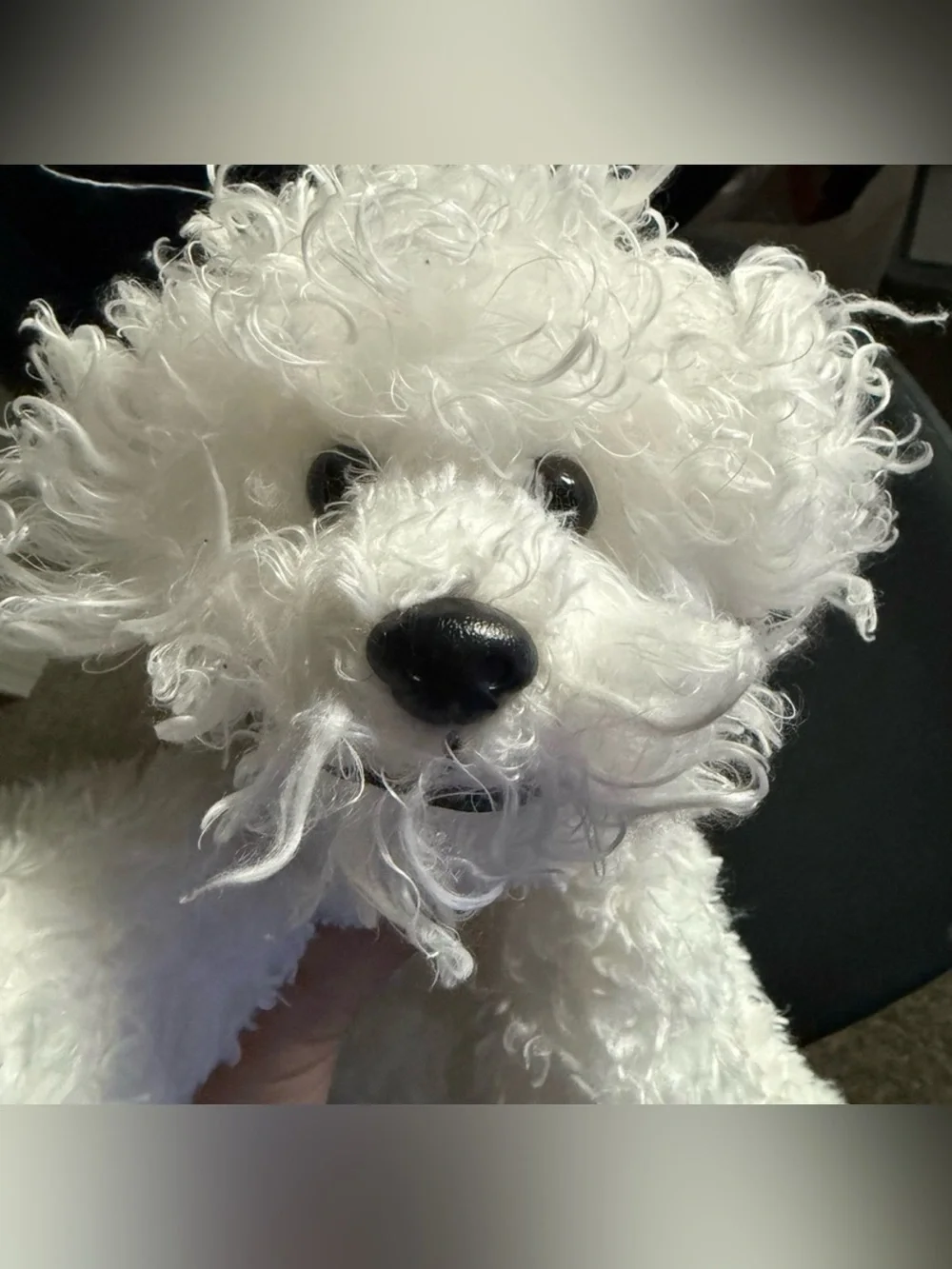 Ty Classic WILLOW Bishon Frise White Curly 10” Silk Plush w/ Brown Collar 2005